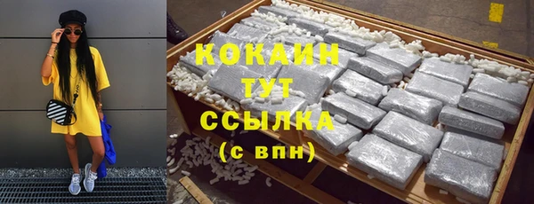 mix Бородино