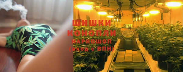 mix Бородино