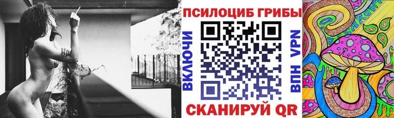 как найти   Кореновск  Псилоцибиновые грибы Psilocybine cubensis 